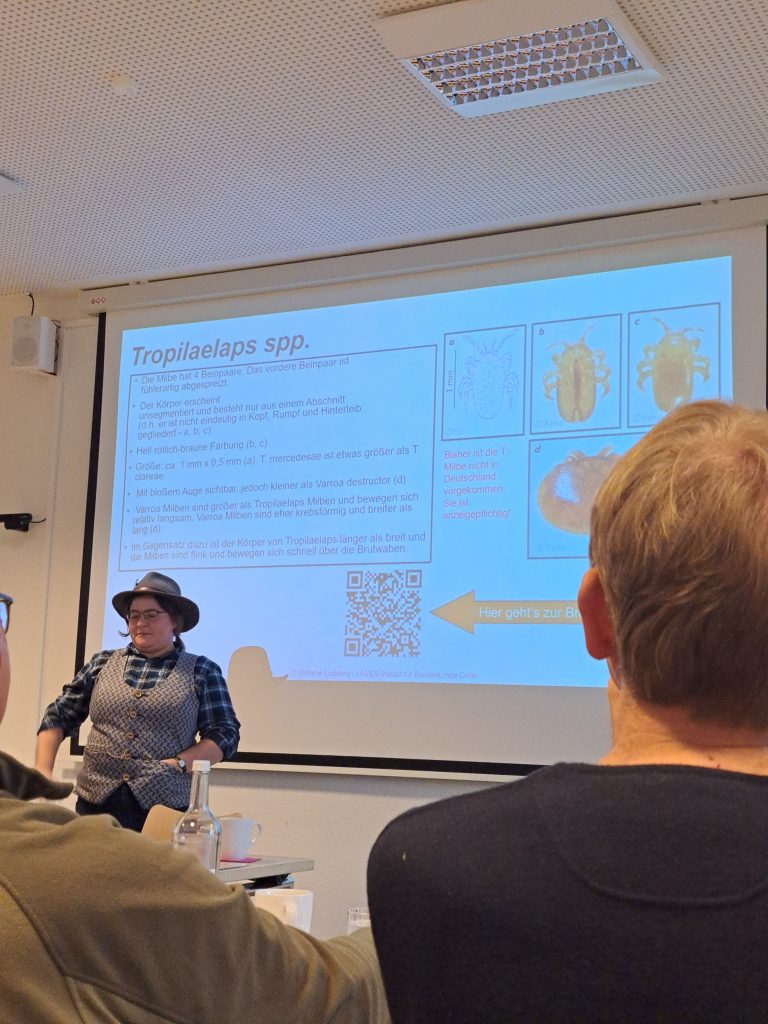 Schulung Krankheiten der Honigbiene am 17.1.2026